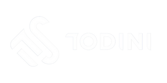 ITS Todini